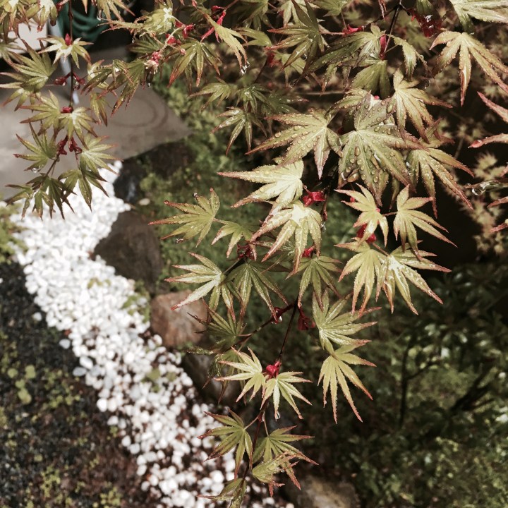 Why Most Therapists are Out of Network in&nbsp;SF